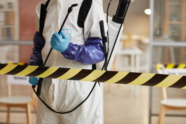 Professional Biohazard Cleanup technician working in Fellows, CA